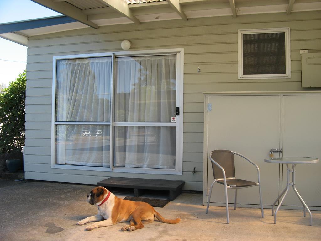 Tongariro River Motel Turangi Zimmer foto