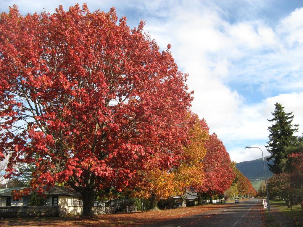 Tongariro River Motel Turangi Zimmer foto